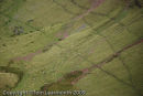 Sheep tracks on the Carmarthen Fan