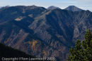 Mont Canigou