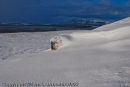 Approaching snowstorm, North Wales