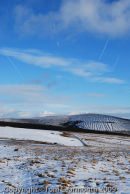 Foel Cwmcerwyn, Preselis