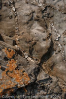 Rock form, Broad Haven