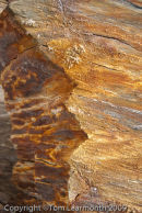 Rocks near the 'Blue Lagoon, Abereiddi