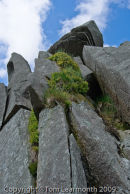 The 'Altar Rock', Carn Meini, Preselis