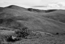 Carmarthen Fan 