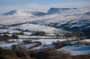 Carmarthen Fan 