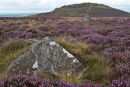 Foel Drygarn
