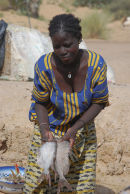Fish seller on the bank of the Niger, Mali
