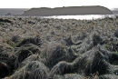 Giltar Point, Pembrokeshire