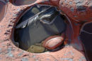 Rockpool, Manorbier