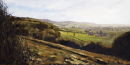 VIEW FROM STINCHCOMBE