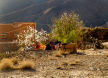 Near Boumaine, Dades Valley