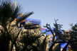 Jardin Majorelle, Marrakech