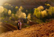 Valley of the Salt
