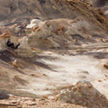 Bisti Wilderness