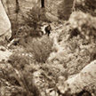 Quentin at Tent Rocks
