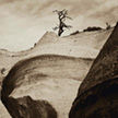 Kasha Katura Tent Rocks 2
