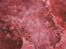 Acers