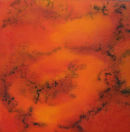 Coral Scape 