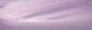 Gentle Breeze