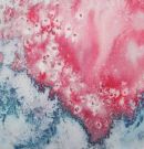 Paradise Pinks 3