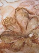 Sepia Chestnut