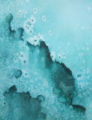 Reef's Edge