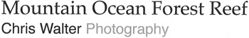 Chris Walter Photography | b&w underwater images