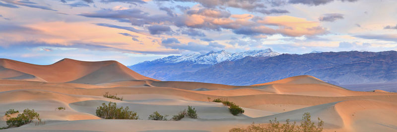 Golden Sands