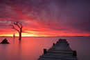 Fire in the Sky