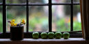 Captain Cook's Window