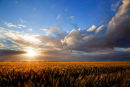 Darkening sky
