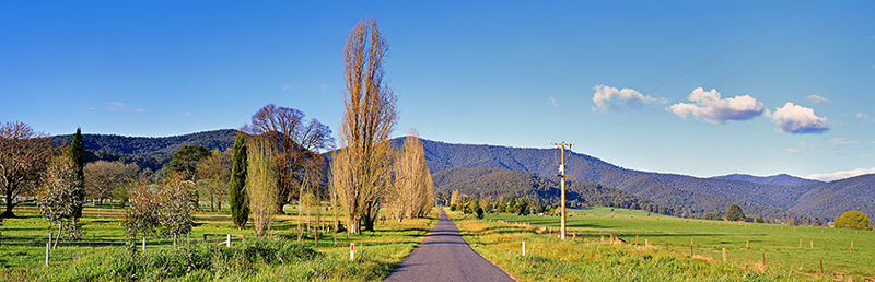 Head for the Hills