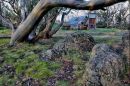 High Country Haven