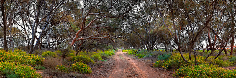 Mallee Track