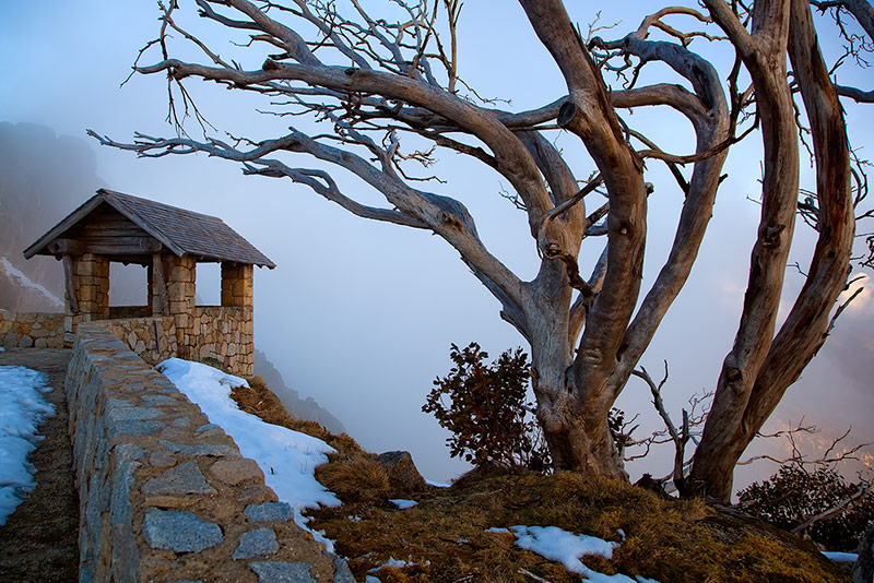 Sentinel
