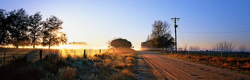 New Day