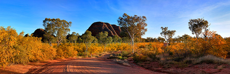 Purnululu Gold