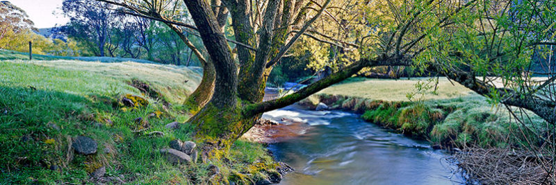 Snowy Creek