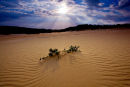 Thurra Dunes