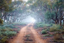 Mallee Track