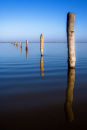 Ripples