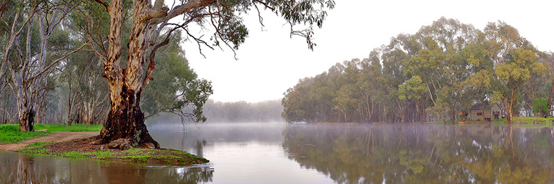 Fog on the Murray