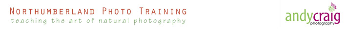 acphototraining