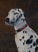 Heidi