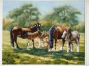 Helens' Horses
